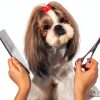 Dxlam-101 Stainless Steel Dog Comb for Long Hair Grooming-4