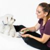 Coastal Pet Dog Grooming Comb Serrated Blades Comfort Grip-1