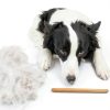 YDDPET Pet Comb Solid Wood Handle Grooming Tool for Dogs-4