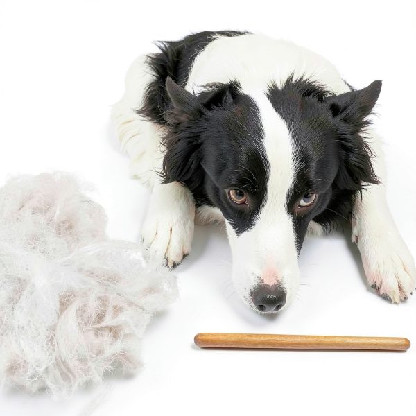 YDDPET Pet Comb Solid Wood Handle Grooming Tool for Dogs-4