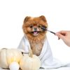 Cobee Dog Tear Stain Comb Stainless Steel Pet Grooming Tool-4