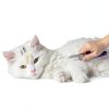 GENPEPADO Pet Grooming Rake Stainless Steel Dematting Brush-5