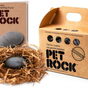 Rosebud Pet Rock Travel Crate Playful Pet Toy-0