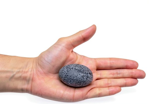 Rosebud Pet Rock Travel Crate Playful Pet Toy-2
