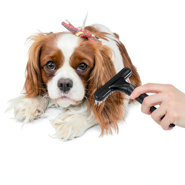 Ordermore Dog Grooming Rake Deshedding Tool Stainless Steel-4