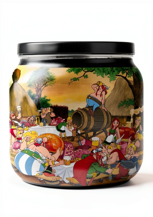 Asterix French Comic Book Kindle Edition Series-0