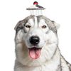 Tuff Pupper Dog Grooming Rake Undercoat Remover Dematting-8