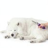 GENPEPADO Pet Grooming Rake Stainless Steel Dematting Brush-6