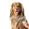 Ordermore Dog Grooming Rake Metal Pins Wood Handle-3