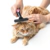 Ordermore Dog Grooming Rake Deshedding Tool Stainless Steel-5